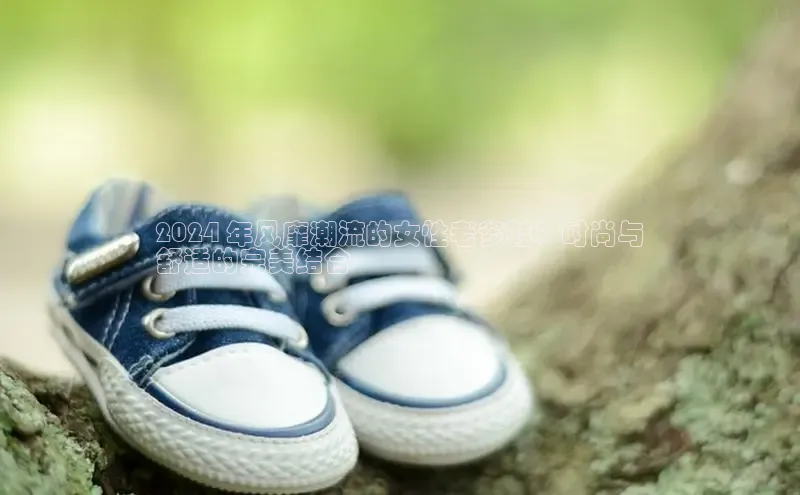 球速体育welcome挪威主权基金2024 年风靡潮流的女性老爹鞋：时尚与
舒适的完美结合