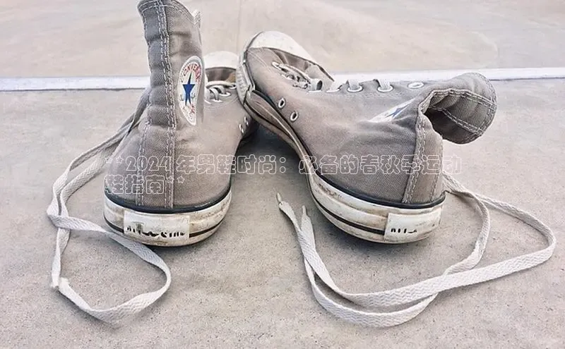 球速体育welcomeARGA公司**2024 年男鞋时尚：必备的春秋季运动
鞋指南**