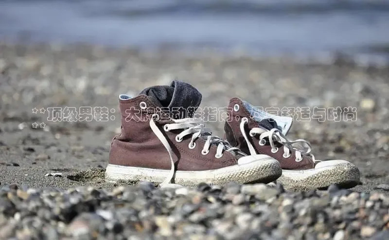 球速app官网登录入口中海达**顶级男鞋：大牌运动鞋指南，尽享舒适与时尚
**