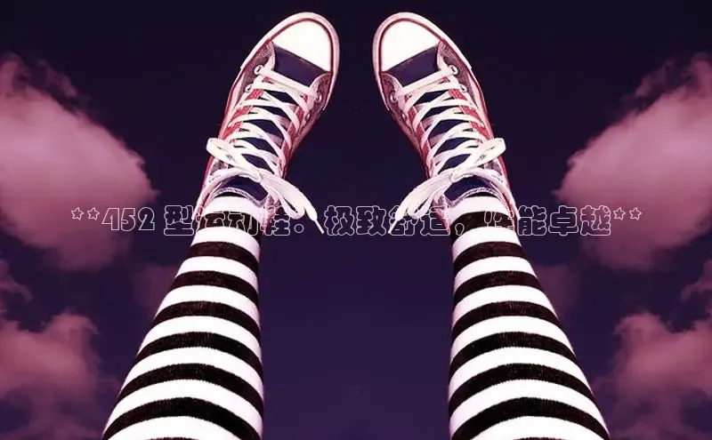 球速体育网页版登录入口百度技术学院**452 型运动鞋：极致舒适，性能卓越**