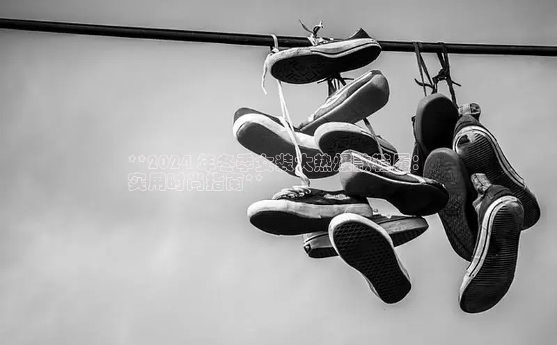 welcome-球速体育如流**2024 年冬季女装大热爆款鞋履：
实用时尚指南**