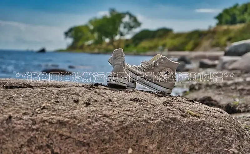 球速体育网页版登陆入口小度商城**银色阿迪达斯运动鞋|提升您的运动风格**