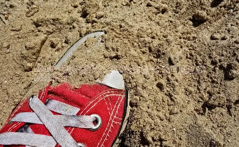 球速体育58同城2024 年秋季耐克女生运动鞋趋势：不可错过的
爆款指南