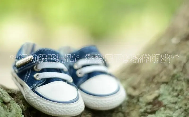 球速体育登录入口猫眼**运动鞋股票码：投资足下经济的钥匙**