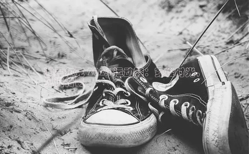 球速app官网登录入口百度社团赞助平台鸿星尔克 2024 运动鞋：穿梭时光，
见证传奇