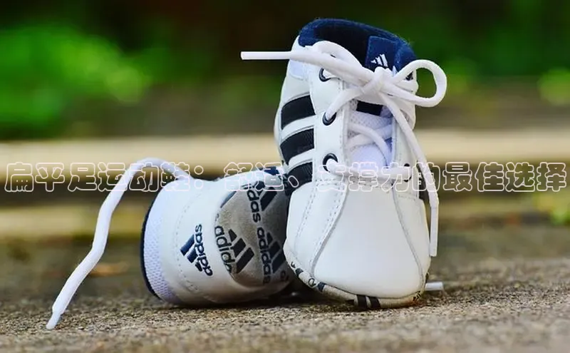 球速体育下载安装百度百聘扁平足运动鞋：舒适、支撑力的最佳选择