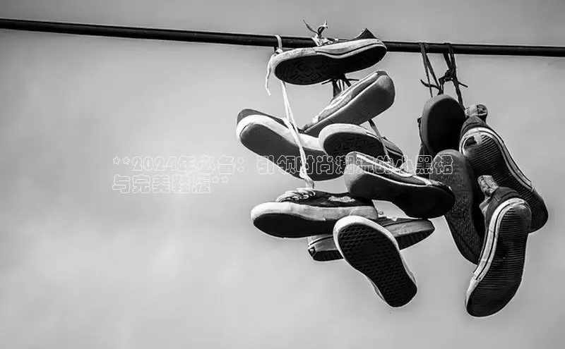 球速体育网页版登录入口神思电子**2024年必备：引领时尚潮流的小黑裙
与完美鞋履**