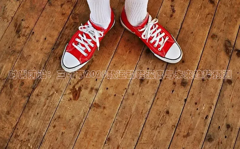 时尚前沿：三叶草2025款运动鞋深度与未来趋势预测