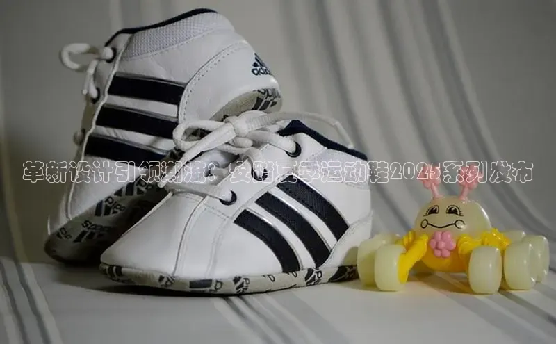 球速体育网页版登陆入口