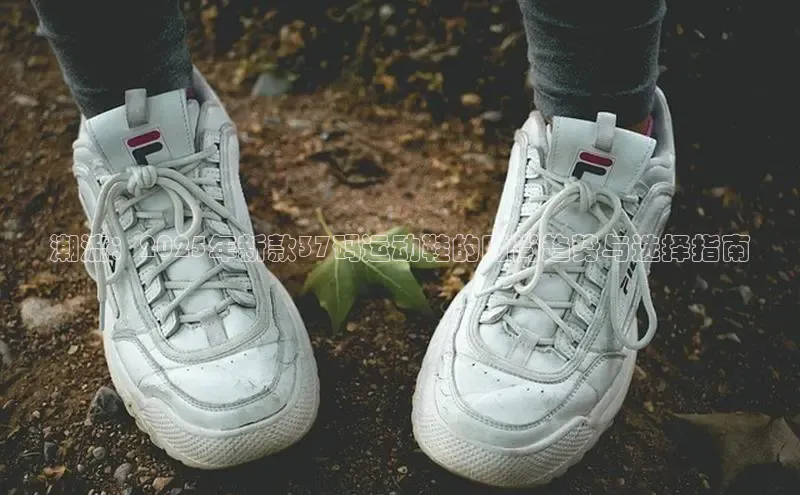 球速体育网页版登陆入口